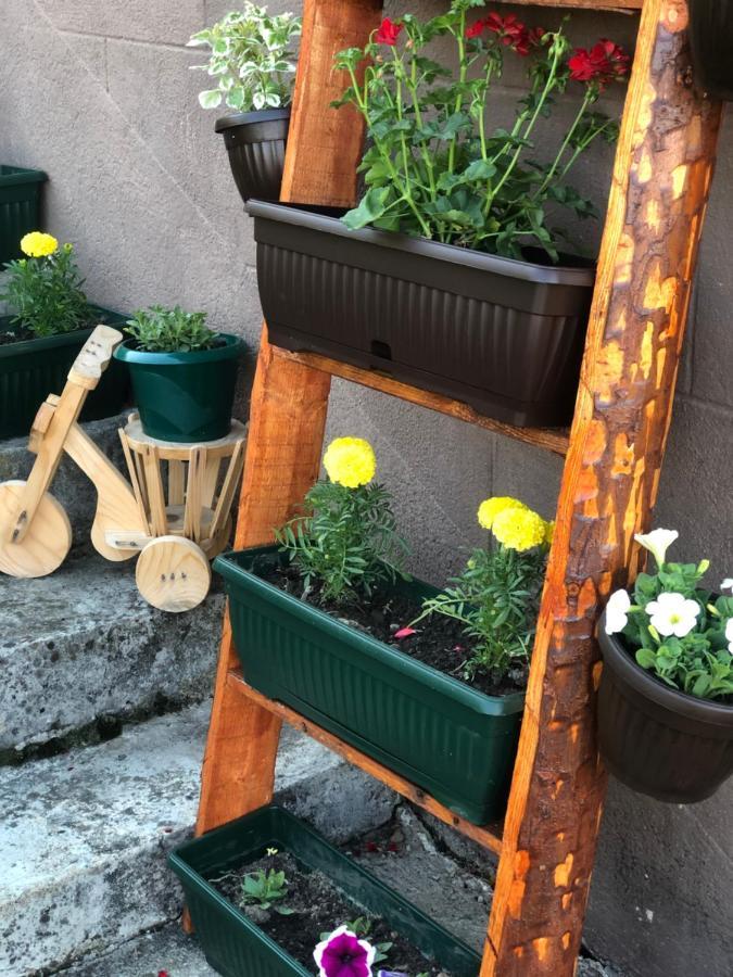 Vidikovac Bijelo Polje Hotell Eksteriør bilde